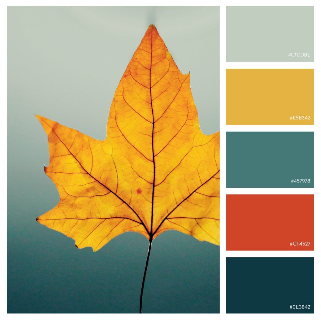 colors-fall-03